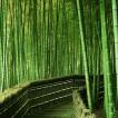 Ткань из бамбука: плюсы и минусы